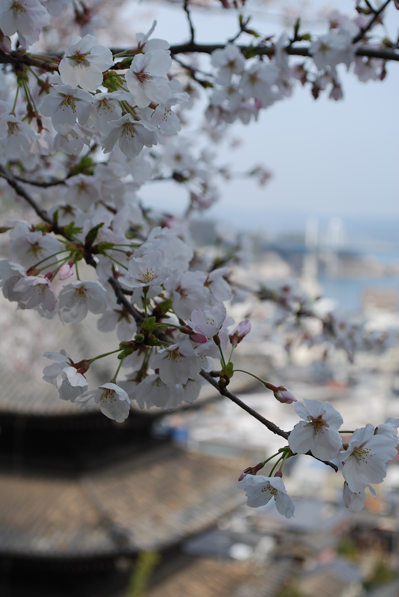 onomichi.up.jpg